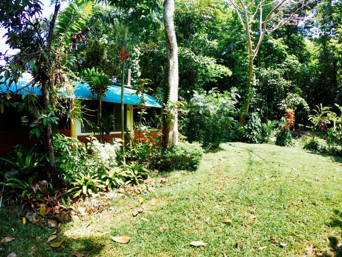 Rock Inn Bailan Koh Chang Værelse billede